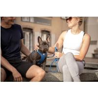 CURLI Vodítko pre psov Comfort Skyblue M