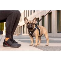 CURLI Vodítko pre psov Comfort Skyblue M