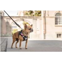 CURLI Vodítko pre psov Comfort Black  M