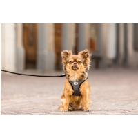 CURLI Vodítko pre psov Comfort Black  M