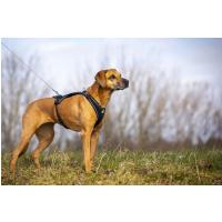 CURLI Ultra silné vreckové vodítko pre psov S 110 cm