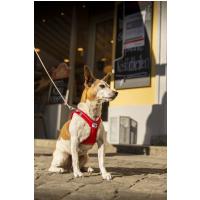 CURLI Ultra silné vreckové vodítko pre psov S 110 cm