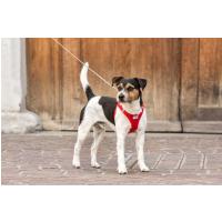 CURLI Ultra silné vreckové vodítko pre psov S 110 cm