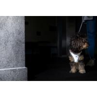 CURLI Postroj pre psov Glow Reflective Gray M, 6-9 kg