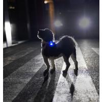 CURLI Luumi LED bezpečnostné svetielko dobíjacie na obojok BLUE