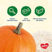 Hami zeleninový príkrm Tekvica s ryžou