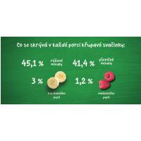 Gerber Organic CHRUMKY Ryžovo-pšeničné