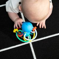 BABY EINSTEIN Hryzačka/hrkálka Opus’s Shake & Soothe™ 0m+