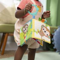 BRIGHT STARTS Hrkálka / Hryzátko, 3m+