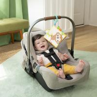 BRIGHT STARTS Hrkálka / Hryzátko, 3m+