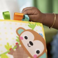 BRIGHT STARTS Hrkálka / Hryzátko, 3m+