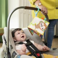 BRIGHT STARTS Hrkálka / Hryzátko, 3m+