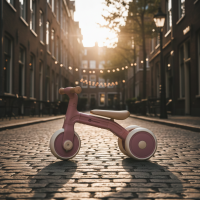 PETITE&MARS Trojkolka multifunkčná 3v1 Bingo Dusty Rose