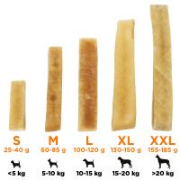 EXPLORER DOG Himalájska maškrta s mätou XL