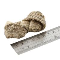 FISH4DOGS Maškrty pre psov DENTAL SEA morská ryba - uzlíky 100 g