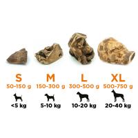 EXPLORER DOG Žuvací koreň z vresu pre psov M