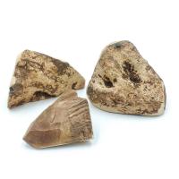 EXPLORER DOG Žuvací koreň z vresu pre psov M