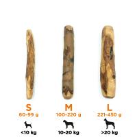 EXPLORER DOG Žuvacia tyčinka z olivového dreva L