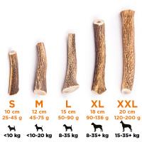 EXPLORER DOG Žuvací jelení paroh L tvrdý