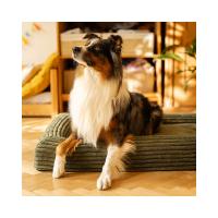 EXPLORER DOG Pelech ortopedický Cloud M 100x70 Mocha Brown