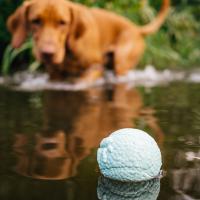 EXPLORER DOG Airball Tyrkysový 8 cm