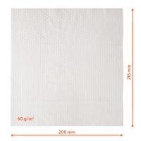 EXPLORER DOG 100% BIO odbúrateľné vlhčené obrúsky 40 ks