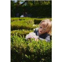 EASYWALKER SET Kočík 4v1 Harvey⁵ Premium 2v1 Mineral Grey LITE RWS + CYBEX Aton B2 i-Size + základňa