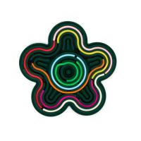 Miniland - zabawki edukacyjne Miniland Flexihetti Senzorická tabuľa  – Kvet a Obdĺžnik