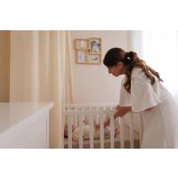 Petit Artichaut Štvorpanelový rámik na odtlačok a fotografiu - Rastliny