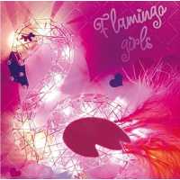 WOW BOX Kreatívna sada 3D šnúrkový Plameniak s LED svetielkami