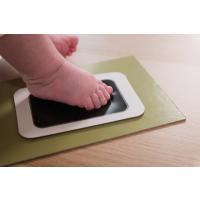 Petit Artichaut Štvorpanelový rámik na odtlačok a fotografiu - Rastliny