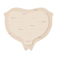MOLNLYCKE Mepilex Border Sacrum Ag 23x23cm Obväz na použitie okolo krížovej kosti, 5ks