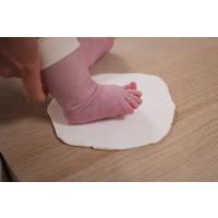 Petit Artichaut Štvorpanelový rámik na odtlačok a fotografiu - Rastliny