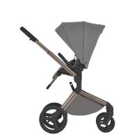 ANEX Kočík kombinovaný Flo Charm