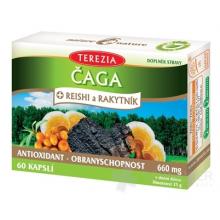 TEREZIA ČAGA + REISHI a RAKYTNÍK