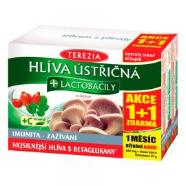 TEREZIA HLIVA USTRICOVITÁ + lactobacily AKCIA 60 + 60 cps.
