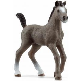 Schleich Žriebä plemena Selle Français