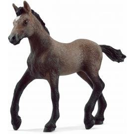 Schleich Žriebä plemena peruánsky paso