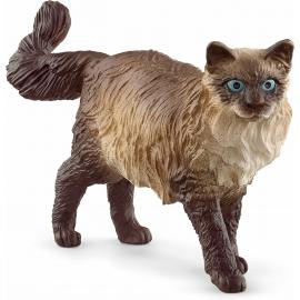 Schleich Ragdoll mačka