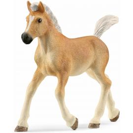 Schleich Haflingerské žriebä