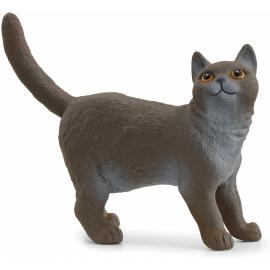 Schleich Britská krátkosrstá mačka