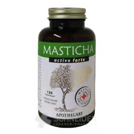 MASTICHA ACTIVE FORTE - Apothecary