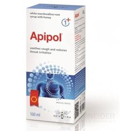 Apipol