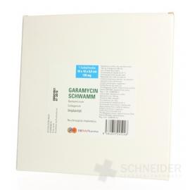 GARAMYCIN SCHWAMM 10x10x0,5 cm
