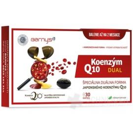 Barny's KOENZÝM Q10 DUAL 60 mg