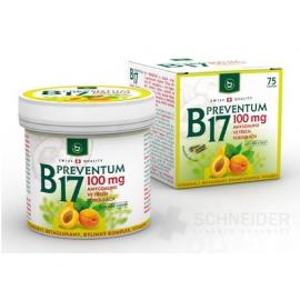 B17 Preventum