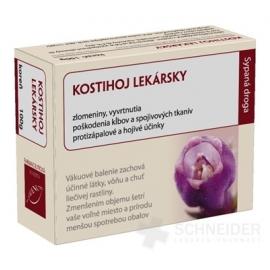 HANUS KOSTIHOJ LEKÁRSKY KOREŇ