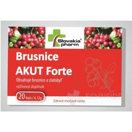 Slovakiapharm Brusnice AKUT Forte