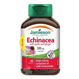 JAMIESON ECHINACEA S CESNAKOM A ZÁZVOROM