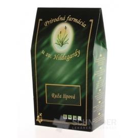 Prír. farmácia RUŽA ŠÍPOVÁ - PLOD